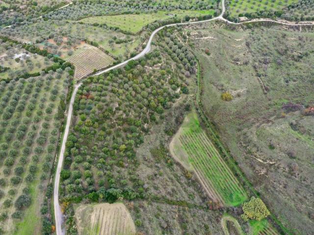 Terreno in vendita a Usini, Sardigna/Sardegna