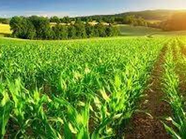 Terreno in vendita a Usmate Velate, Usmate