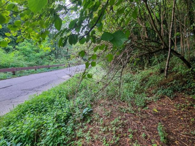 Terreno in vendita a Usmate Velate, Usmate