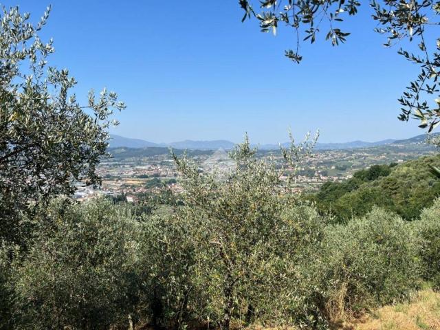 Terreno in vendita a Uzzano E Castello, La Costa