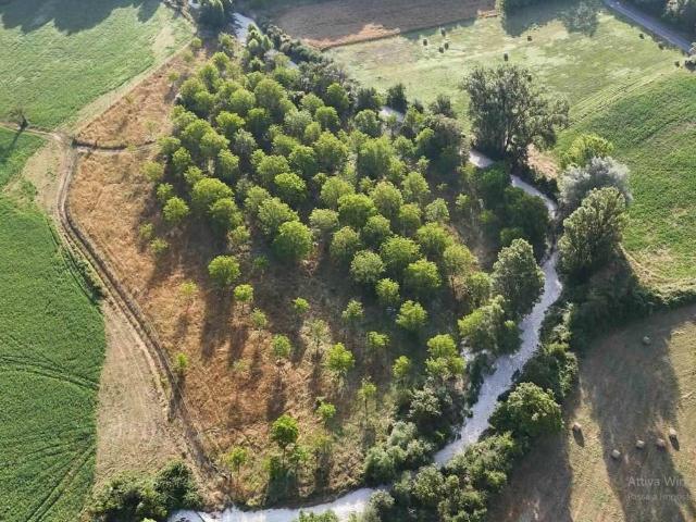 Terreno in vendita a Torri In Sabina, Lazio
