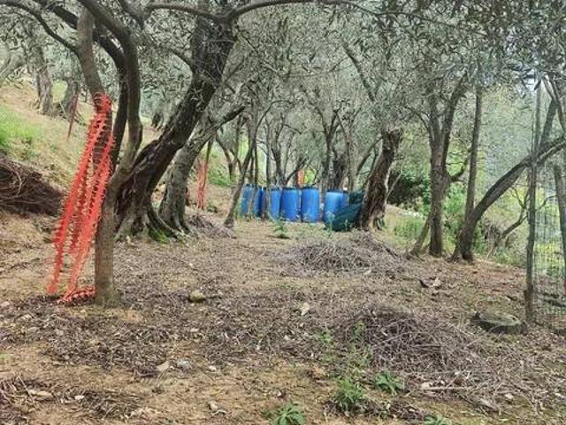 Terreno in vendita a Sant'Ermete, Vado Ligure