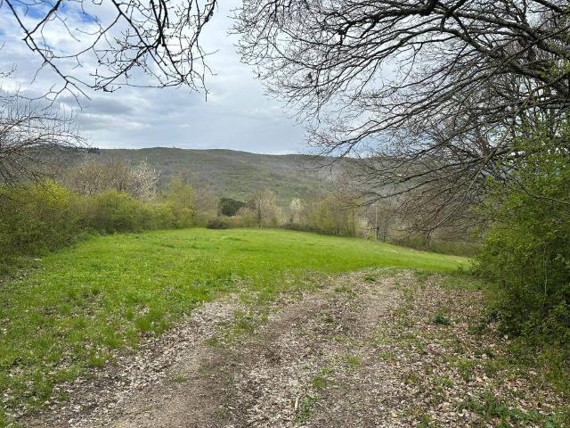Terreno in vendita a Vaglia, Toscana
