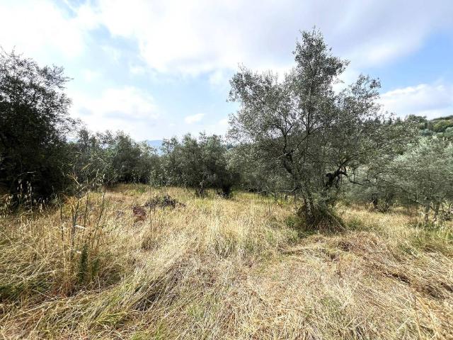 Terreno in vendita a Vaglia, Toscana