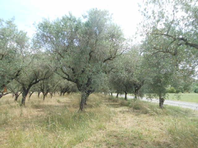 Terreno in vendita a Vairano Patenora, Campania