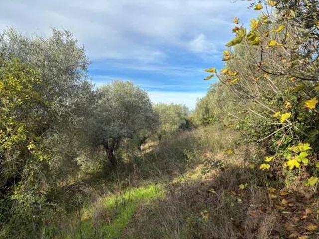 Terreno in vendita a Vairano Patenora, Campania