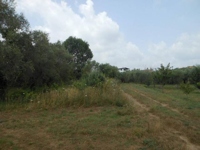 Terreno in vendita a Vairano Patenora, Campania