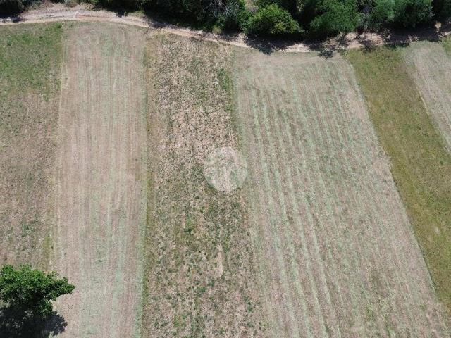 Terreno in vendita a Unione Montana di Comuni delle Valli di Lanzo, Ceronda e Casternone, Piemonte