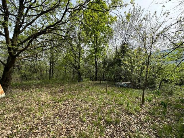 Terreno in vendita a Unione Montana di Comuni delle Valli di Lanzo, Ceronda e Casternone, Piemonte