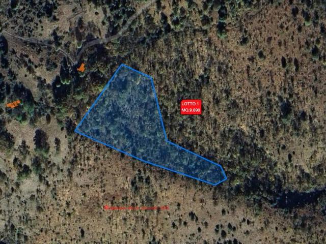 Terreno in vendita a Unione Montana di Comuni delle Valli di Lanzo, Ceronda e Casternone, Piemonte