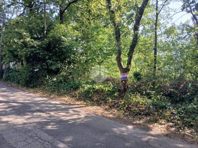 Terreno in vendita a Unione Montana di Comuni delle Valli di Lanzo, Ceronda e Casternone, Piemonte