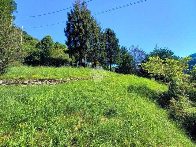 Terreno in vendita a Valbrona, Lombardia