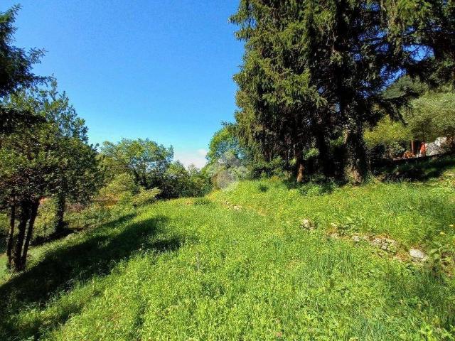 Terreno in vendita a Valbrona, Lombardia