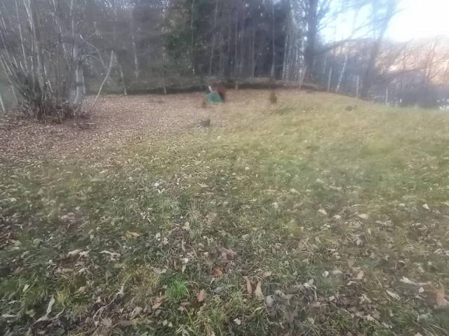 Terreno in vendita a Valdilana, Piemonte