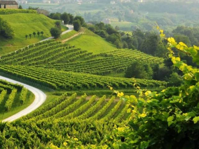 Terreno in vendita a Valdobbiadene, Veneto