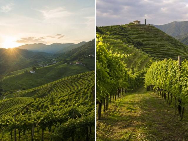 Terreno in vendita a Valdobbiadene, Veneto