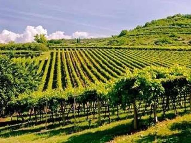 Terreno in vendita a Santa Lucia, Valeggio Sul Mincio