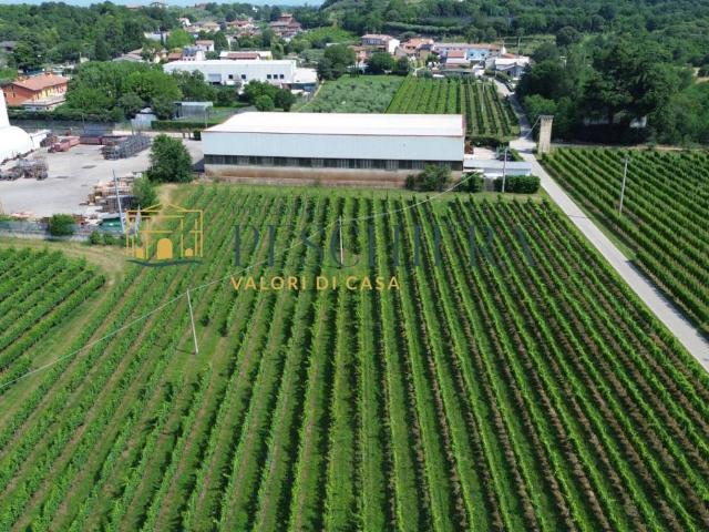 Terreno in vendita a Valeggio Sul Mincio, Veneto