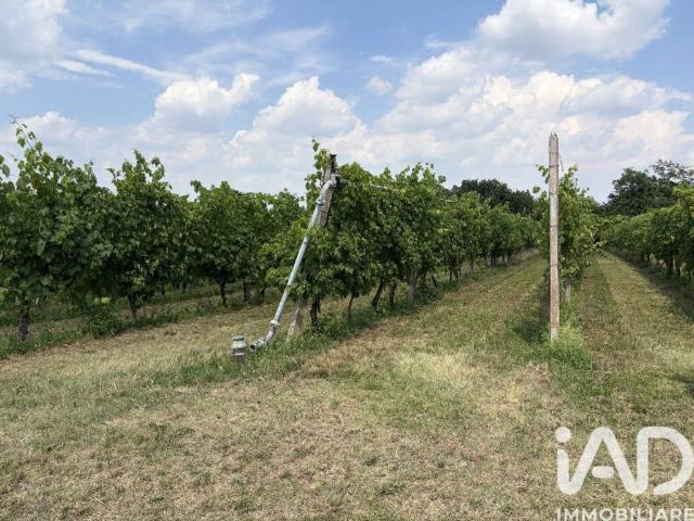 Terreno in vendita a Santa Lucia, Valeggio Sul Mincio