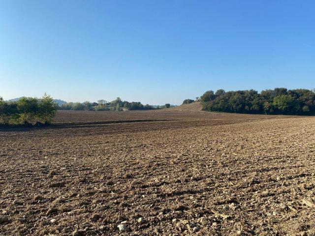 Terreno in vendita a Borghetto, Valeggio Sul Mincio