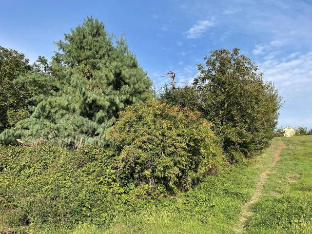 Terreno in vendita a Piemonte, Alessandria
