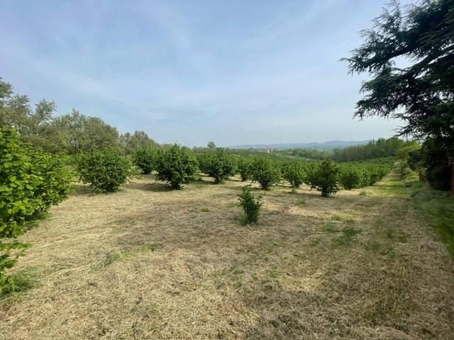 Terreno in vendita a Monte, Piemonte
