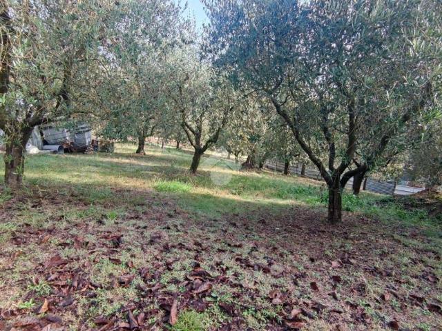 Terreno in vendita a Valfabbrica, Umbria