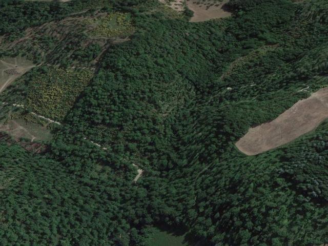 Terreno in vendita a Valfabbrica, Umbria