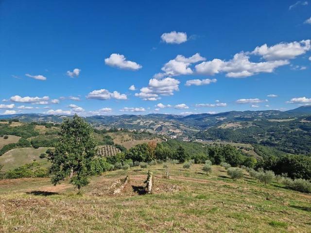 Terreno in vendita a Cenerente, Umbria