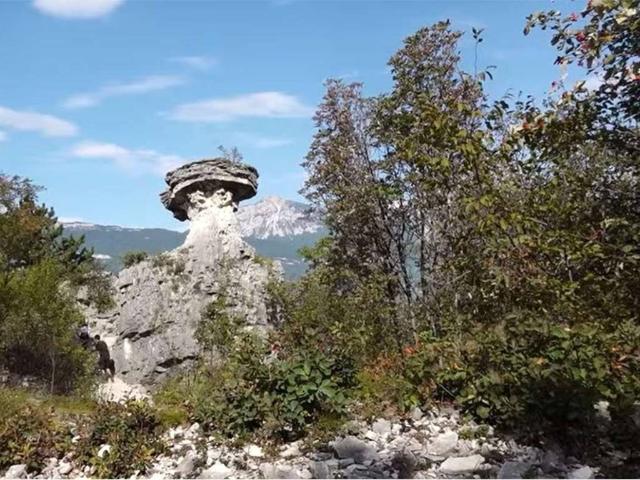 Terreno in vendita a Comunità della Vallagarina, Vallarsa