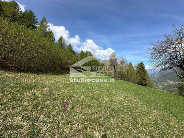 Terreno in vendita a Comunità della Vallagarina, Vallarsa