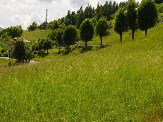 Terreno in vendita a Valle Di Cadore, Veneto