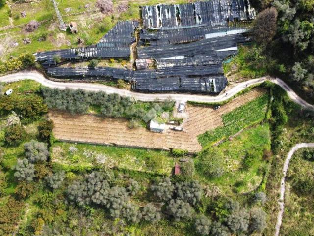 Terreno in vendita a Madonna della Neve, Vallebona