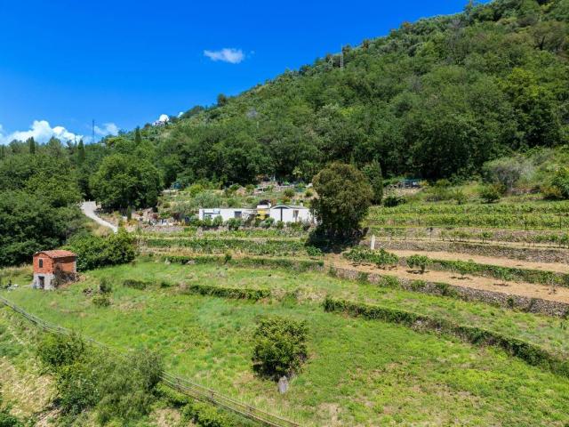 Terreno in vendita a Vallebona, Liguria