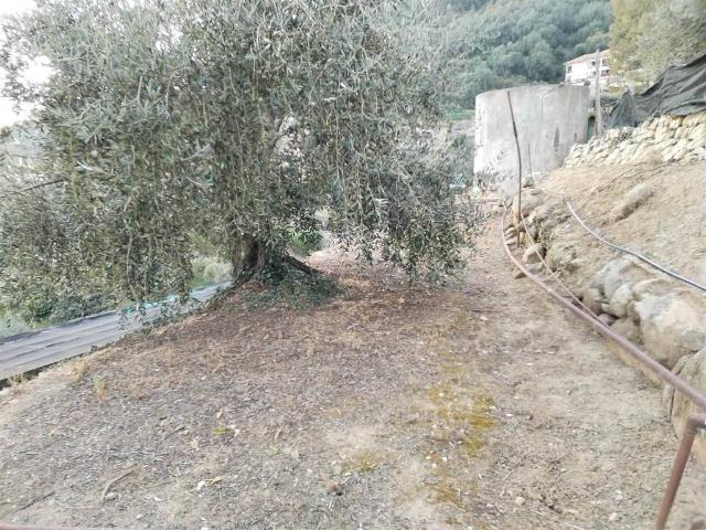 Terreno in vendita a Madonna della Neve, Vallebona
