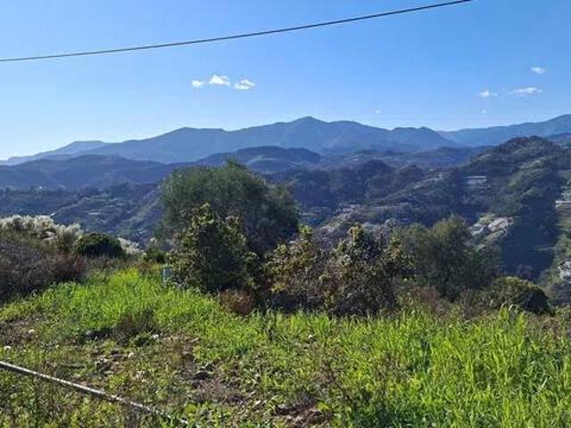 Terreno in vendita a Vallebona, Liguria