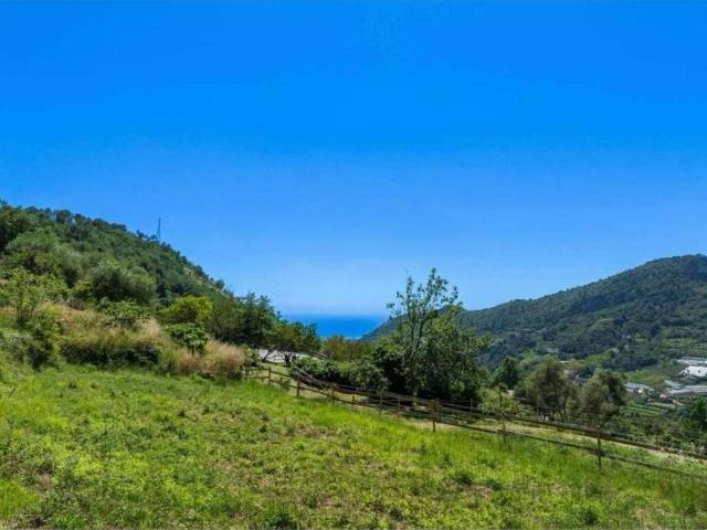 Terreno in vendita a Vallebona, Liguria
