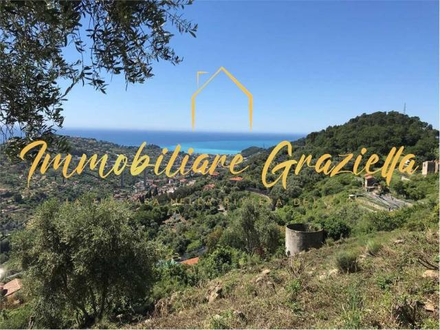 Terreno in vendita a Vallebona, Liguria