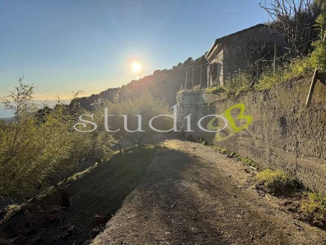 Terreno in vendita a Vallebona, Liguria