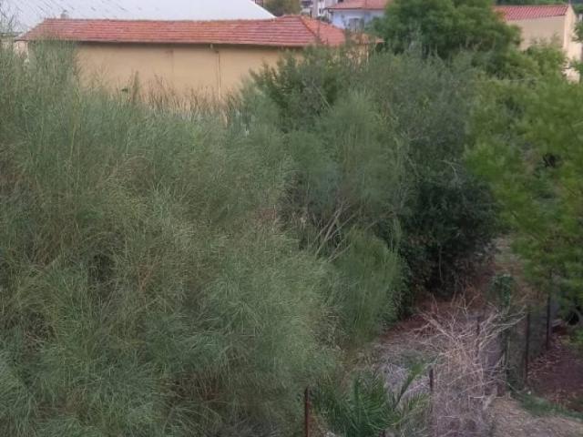 Terreno in vendita a Vallecrosia, Liguria