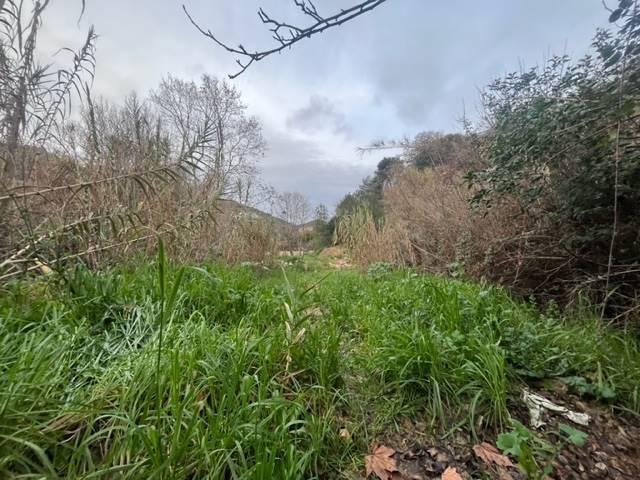 Terreno in vendita a Vallecrosia, Liguria
