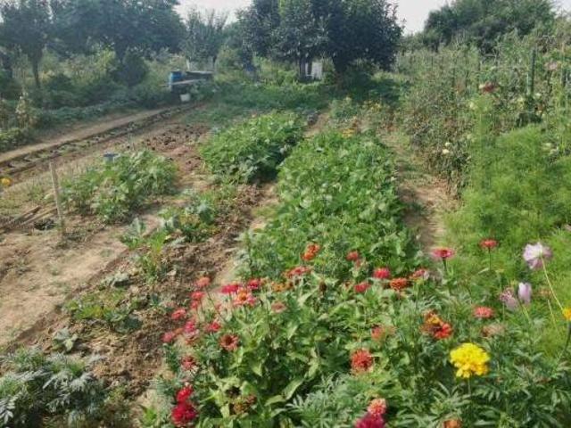 Terreno in vendita a Montecchio, Pesaro e Urbino