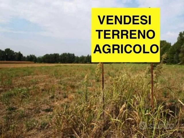 Terreno in vendita a Vallefoglia, Marche