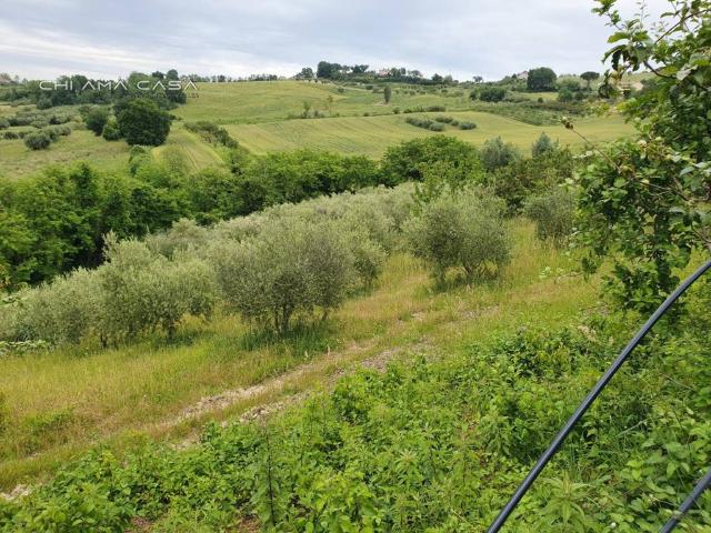 Terreno in vendita a Vallefoglia, Marche
