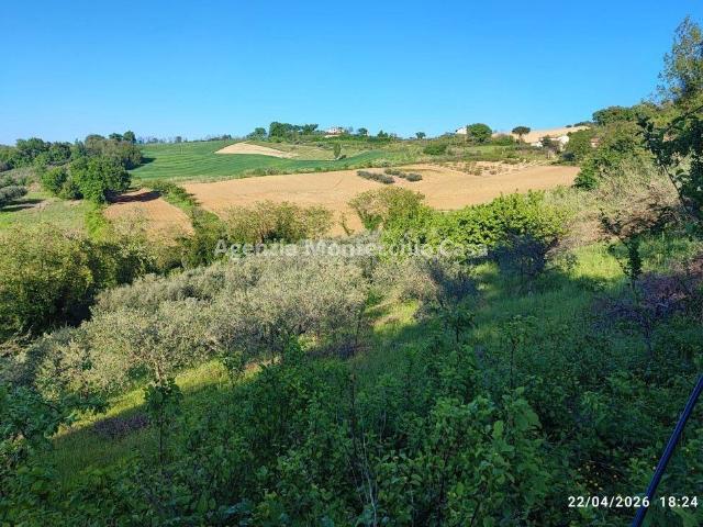 Terreno in vendita a Vallefoglia, Marche