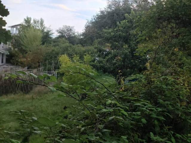 Terreno in vendita a Bramante, Vallefoglia