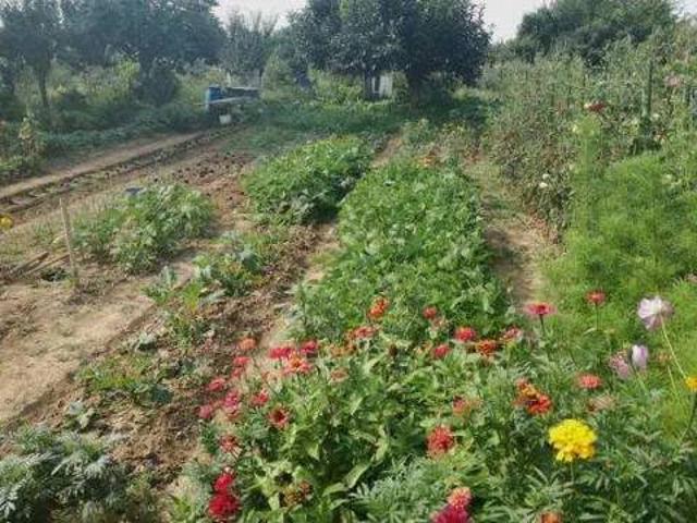 Terreno in vendita a Montecchio, Pesaro e Urbino