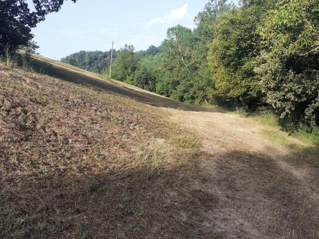 Terreno in vendita a Unione dei comuni Valli del Reno, Lavino e Samoggia, Reggio Emilia