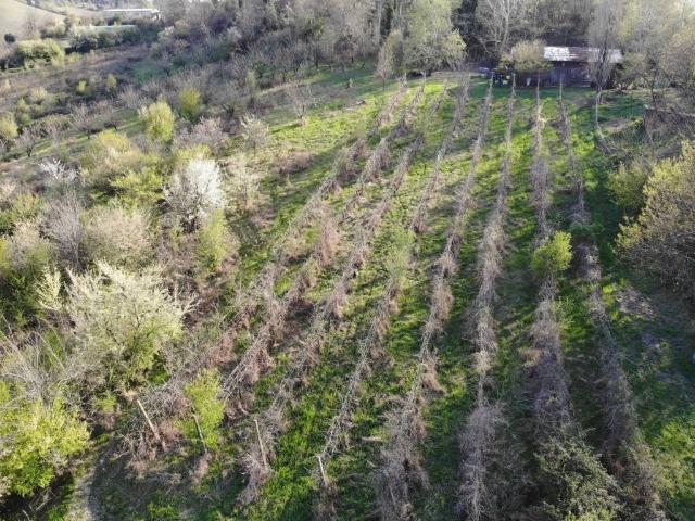 Terreno in vendita a Unione dei comuni Valli del Reno, Lavino e Samoggia, Reggio Emilia
