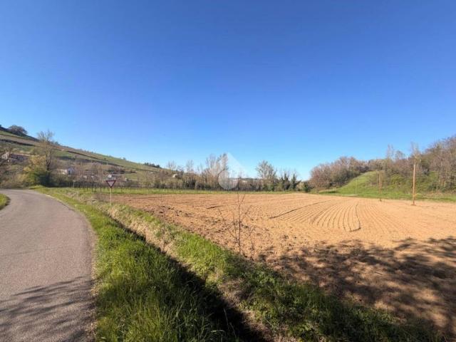 Terreno in vendita a Unione dei comuni Valli del Reno, Lavino e Samoggia, Tiola